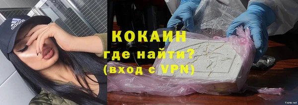 ешки Бородино