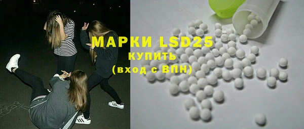 ешки Бородино