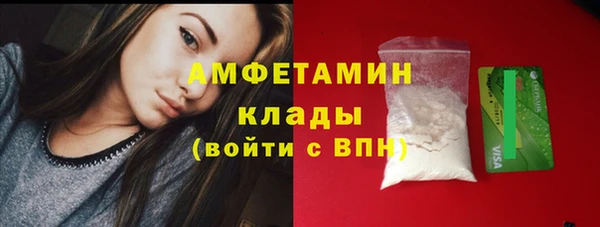 ешки Бородино