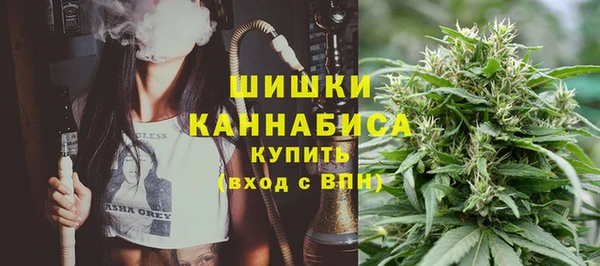 ешки Бородино