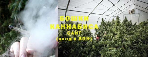 ешки Бородино