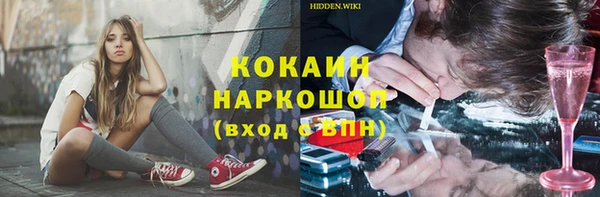 ешки Бородино