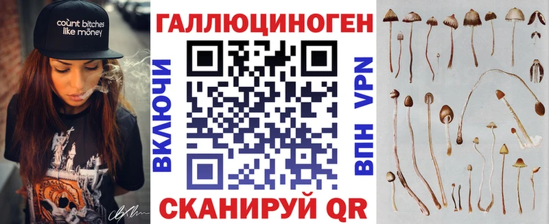 Псилоцибиновые грибы Psilocybe  Клинцы 